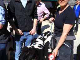 2019_ausstellung polling_583